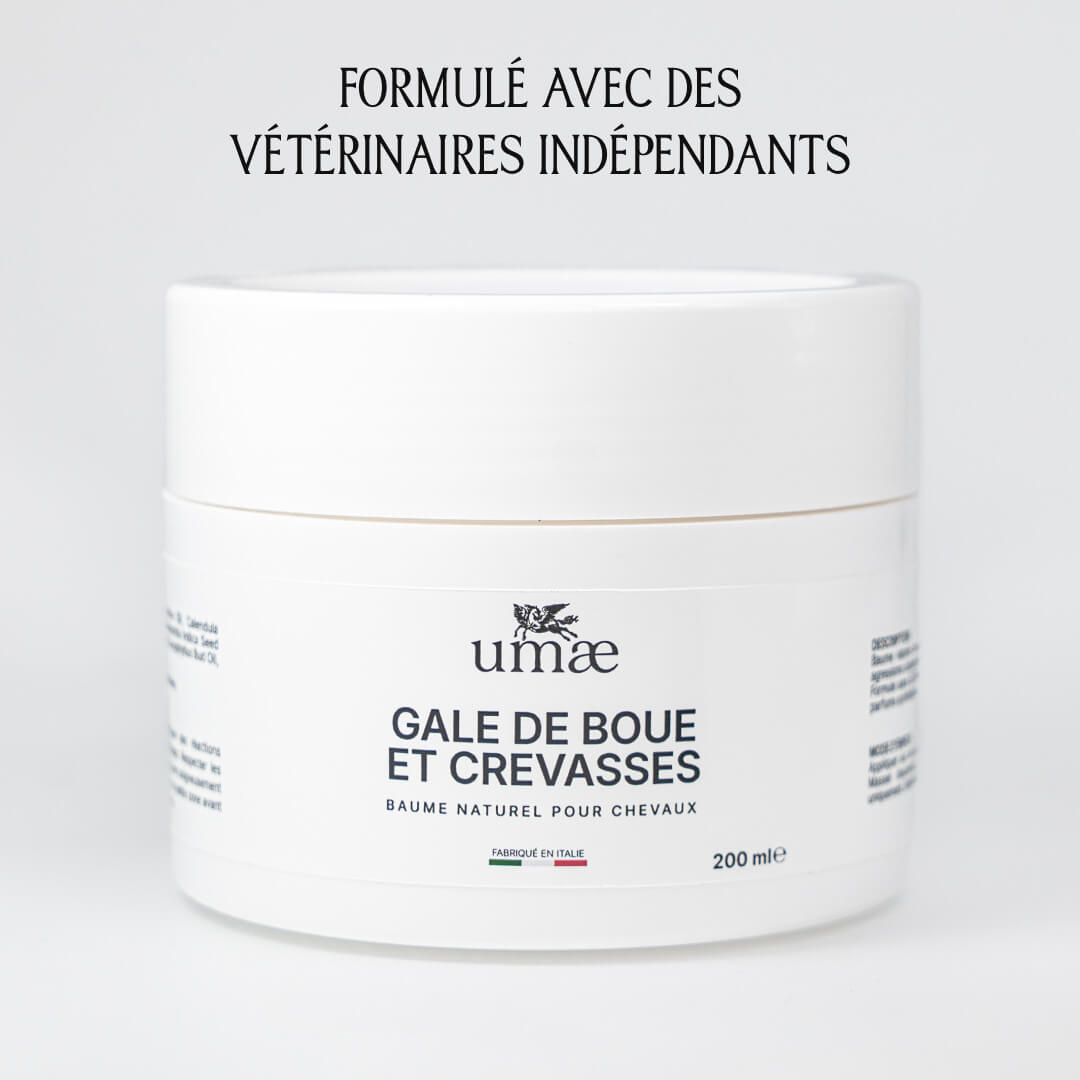 Le baume gale de boue