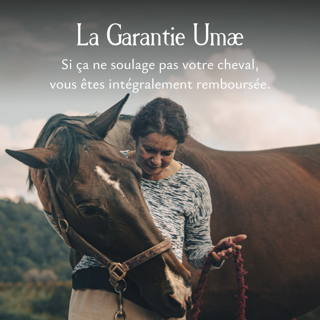 Le baume gale de boue