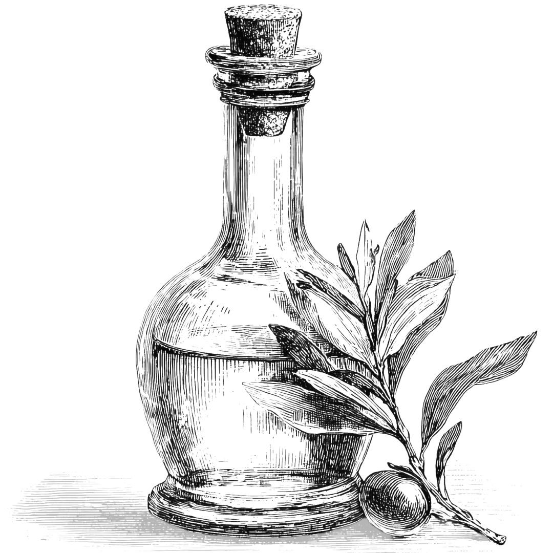 Corps gras nourrissant